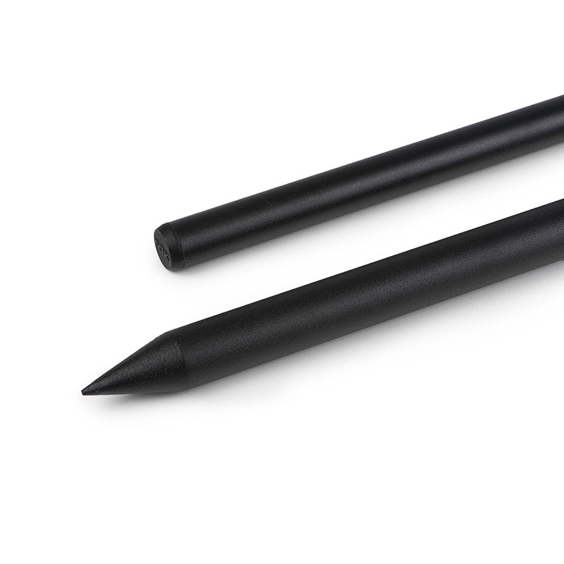 Fox Cam Loc Storm Pole (Bankstick)