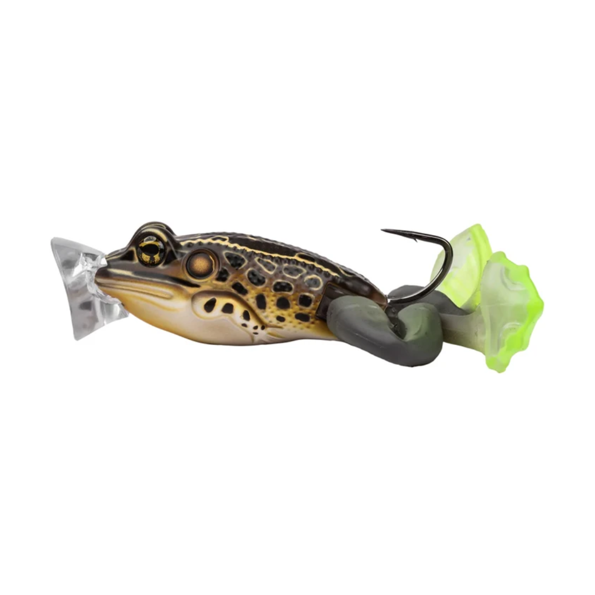 LIVETARGET Ultimate Frog Popper 2 1/2in 14.35cm 28g (1oz)