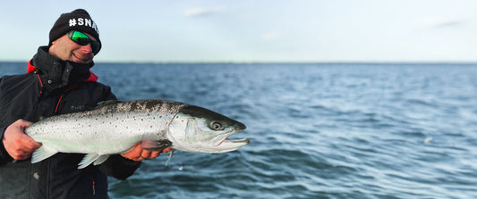 Havsöringsfiske på vintern i Skåne - komplett guide för ett framgångsrikt kustfiske