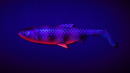 Balzer Fake Shad UV 16cm 41g