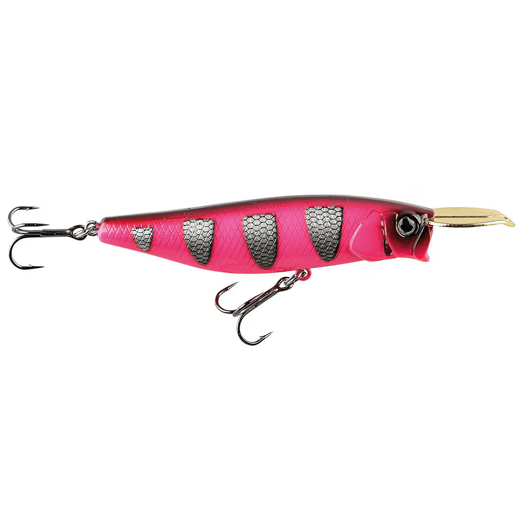 IFISH Surface Dog