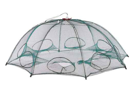 Balzer Mörtstuga (Paraplymjärde)