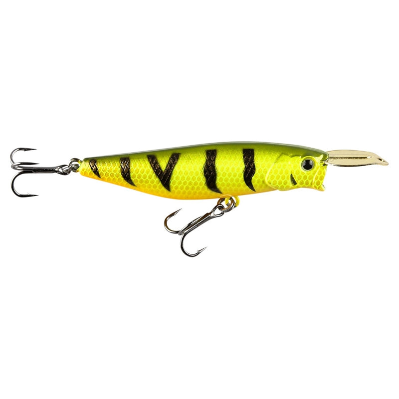 IFISH Surface Dog