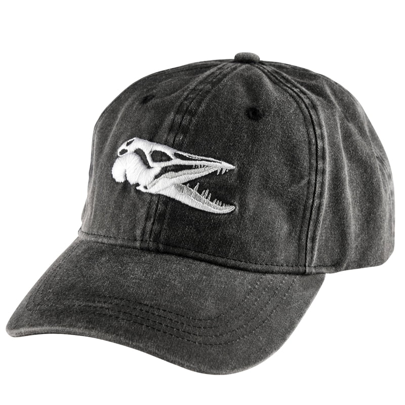 Ifish Scull Keps Black