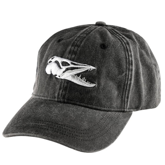 Ifish Scull Keps Black
