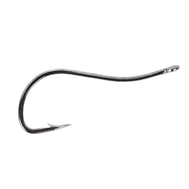 Partridge Saltwater Swimming Shrimp