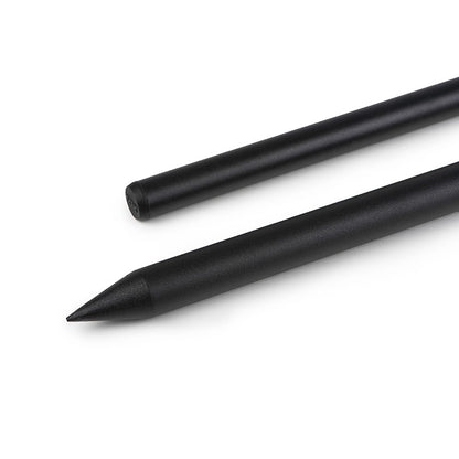 Fox Cam Loc Storm Pole (Bankstick) 