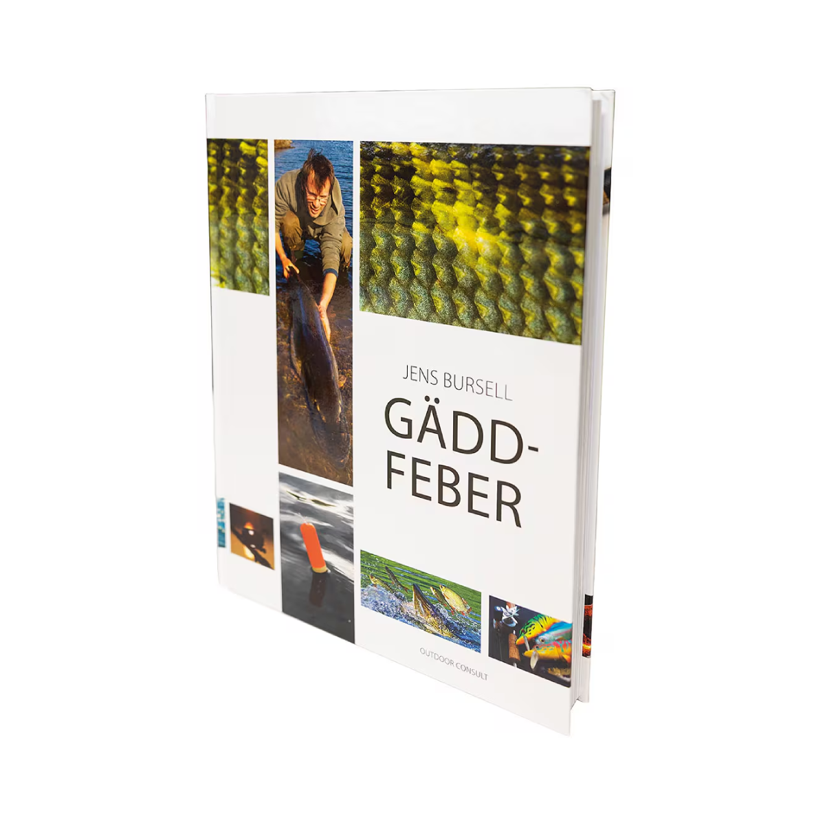 Gäddfeber av Jens Bursell