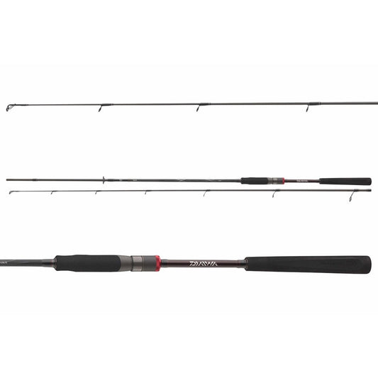 Daiwa Ballistic X 10.2 ft 10-40g (Haspel) 2-del