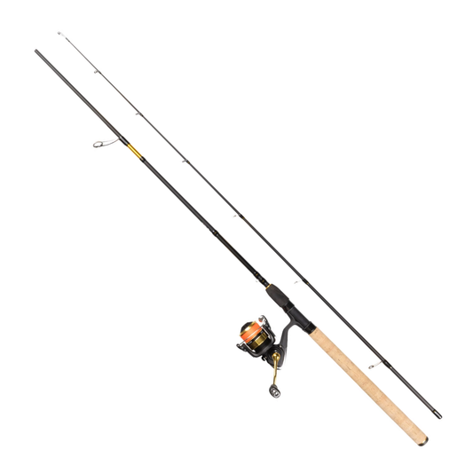 Haspelset: Daiwa Procaster RS PMC/RS2500 8ft 7-28g (inkl påspolad 0.17 flätlina)