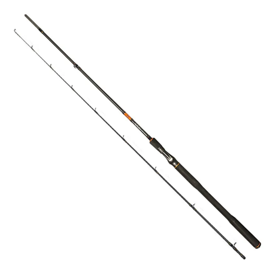 Daiwa TD Pike G5 Bait V2 8ft 30-120g (Multi), 2-piece