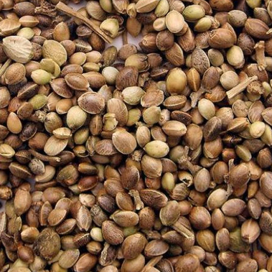 Madix Hampafrön 500g