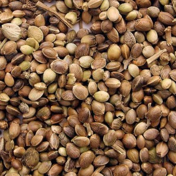 Madix Hampafrön 500g