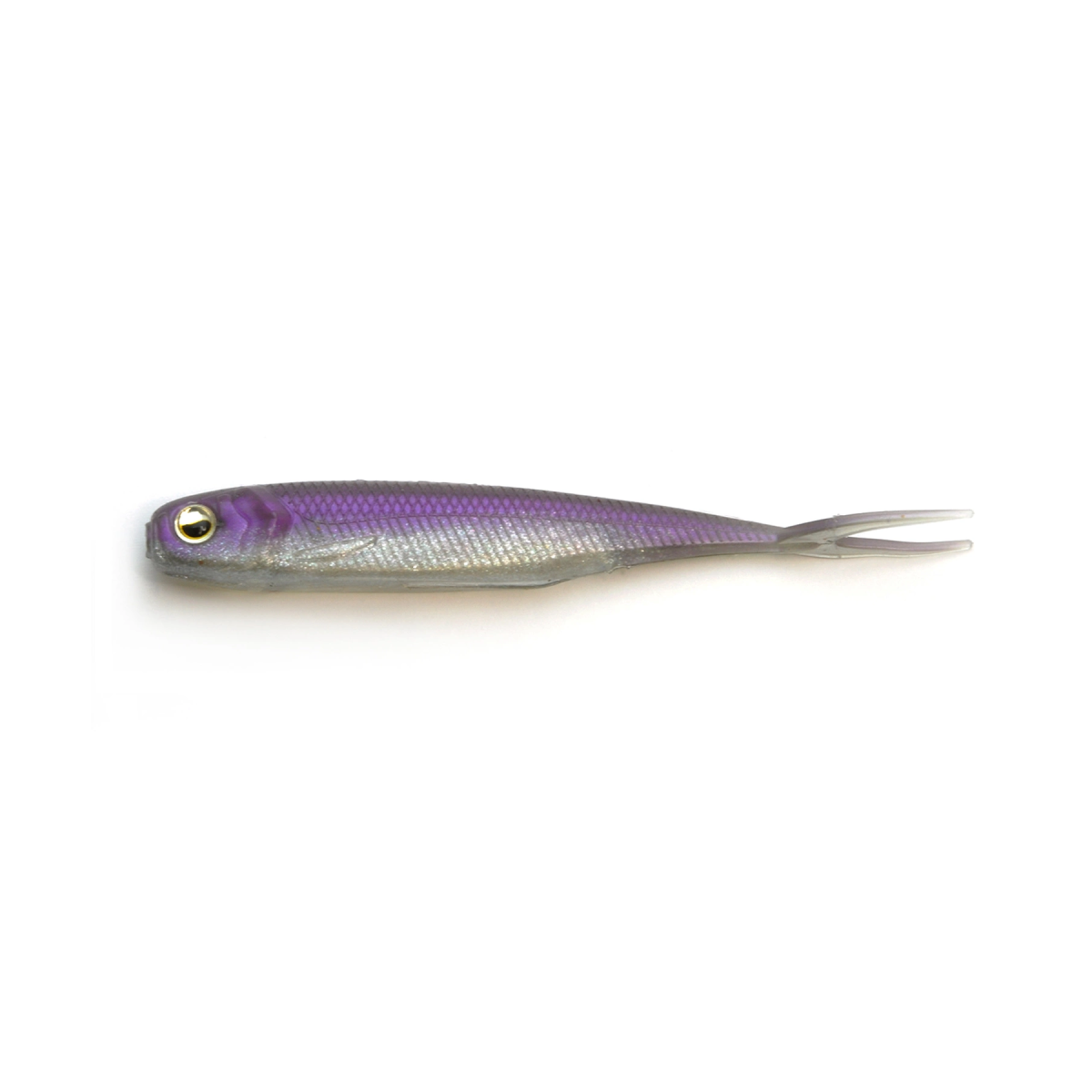 Raid Fish Roller 4 ”(10.16cm), 6-Pack