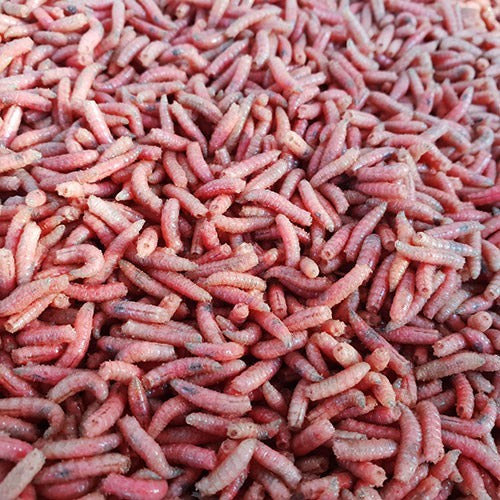 Maggots 1 liter red (Swedish from Fibe)