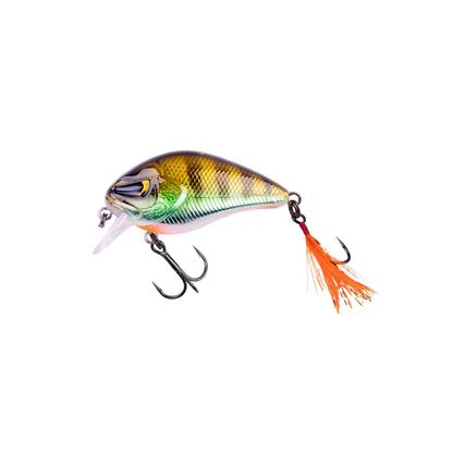 Zeck BA Danny F 5.5cm 11g