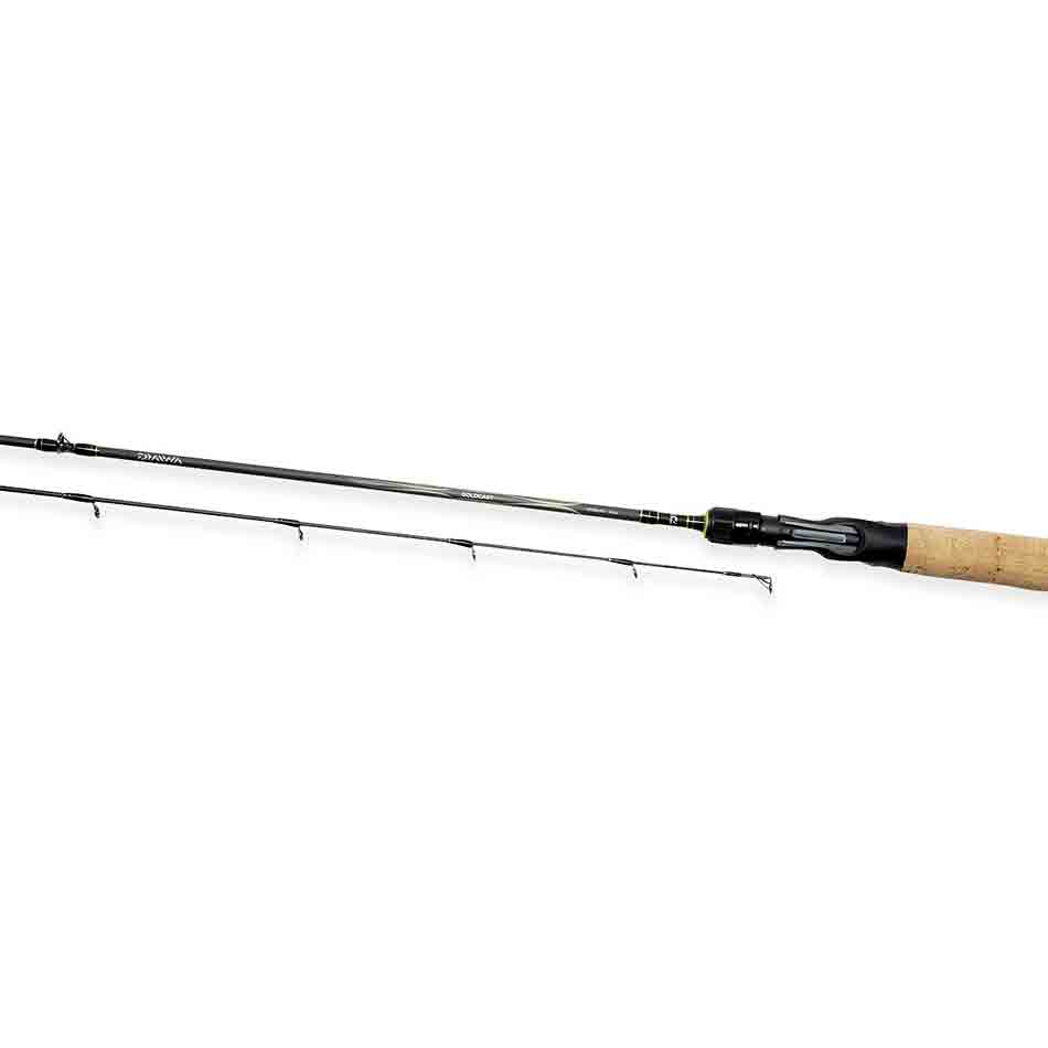 Daiwa GoldCast Spin rod 6 ' - 10-30 grams